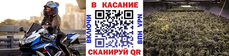 Купить наркотики сайты Балей Cocaine  АМФ  Марихуана 
